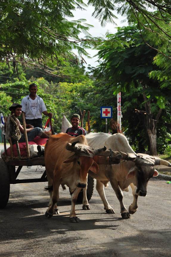 Carro-de-boi, veículo muito comum na Isla Ometepe, no lago Nicarágua, sul do país